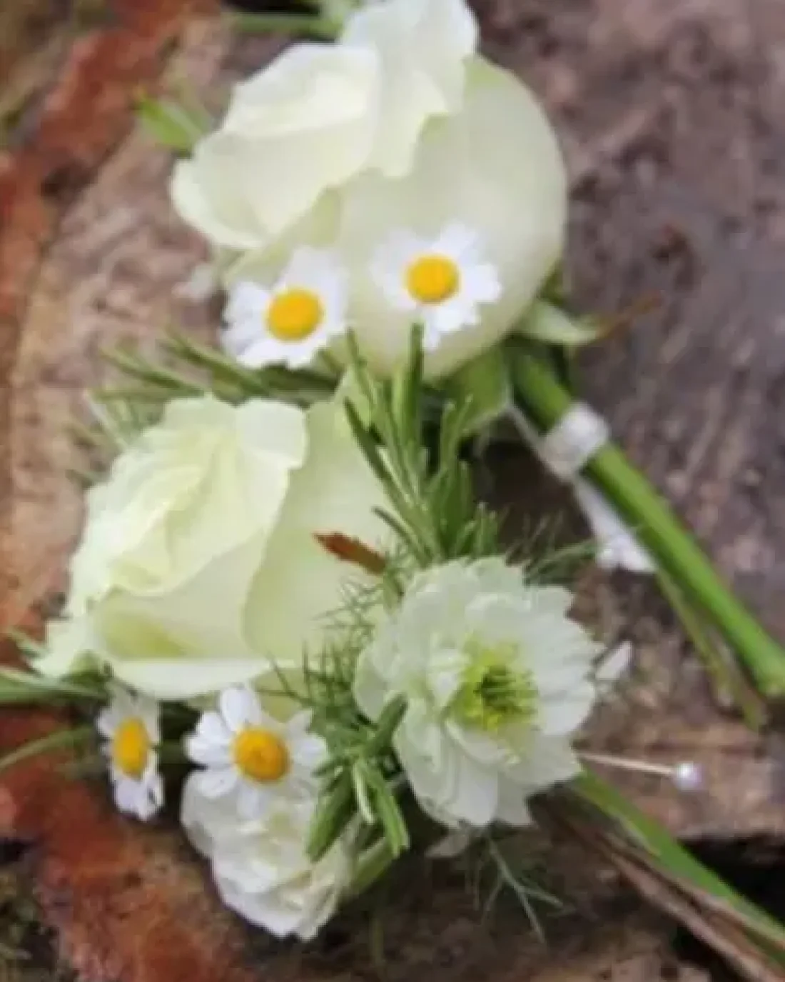 Elopements/ Micro Wedding