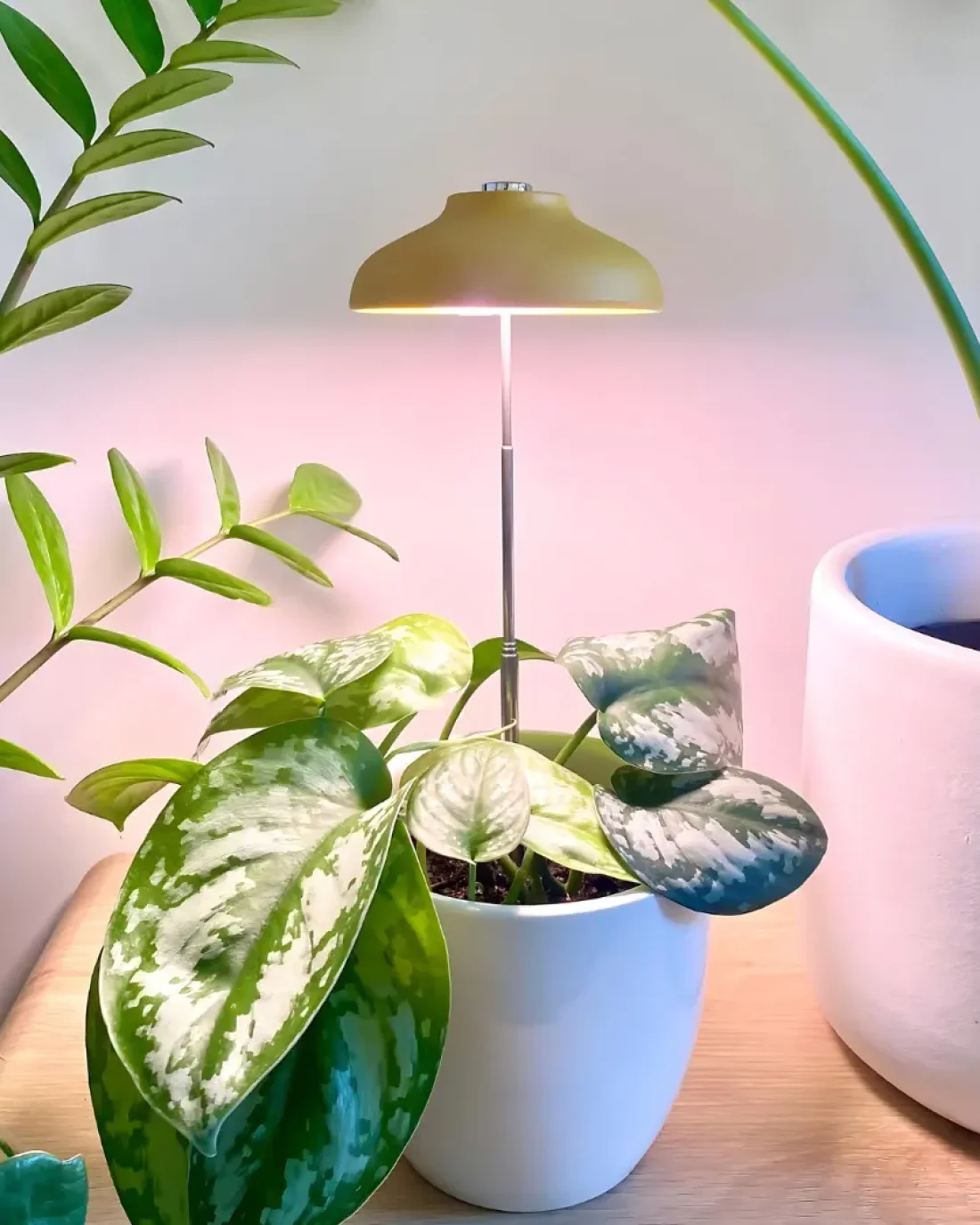 Instant Sun Grow Light