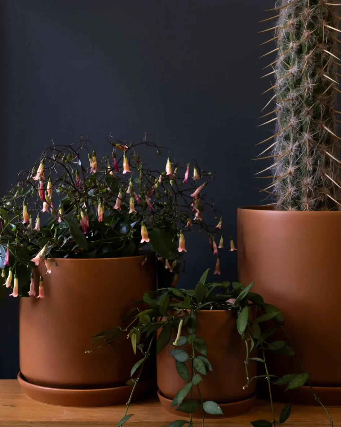 Large Oslo Planter Cinnamon