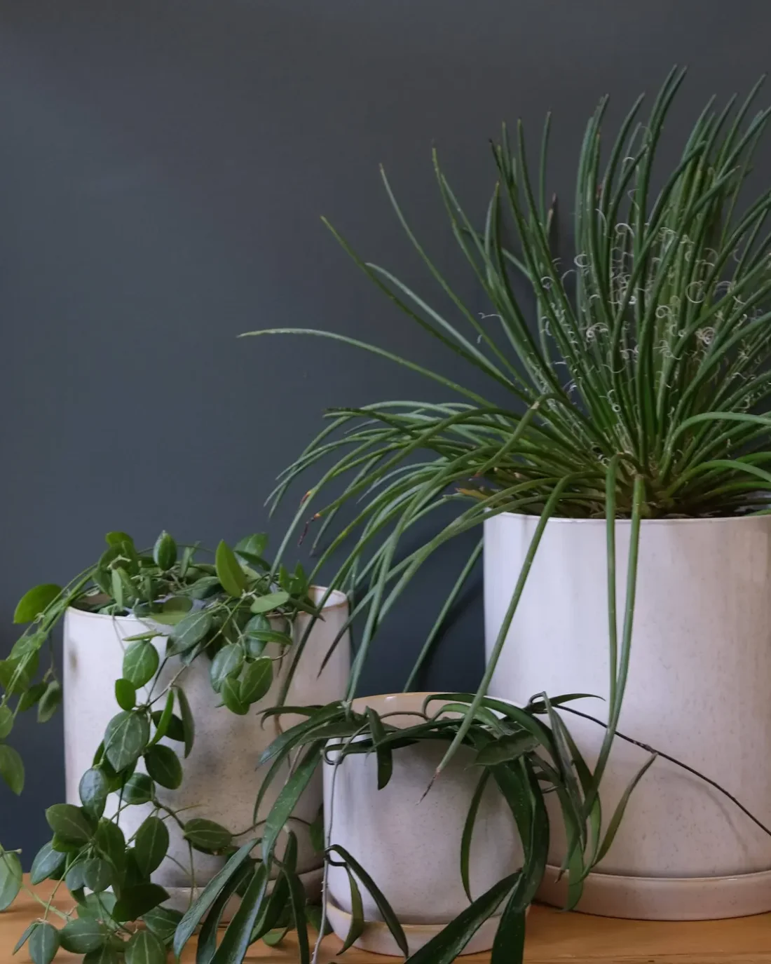 Medium Oslo Planter Sandstorm