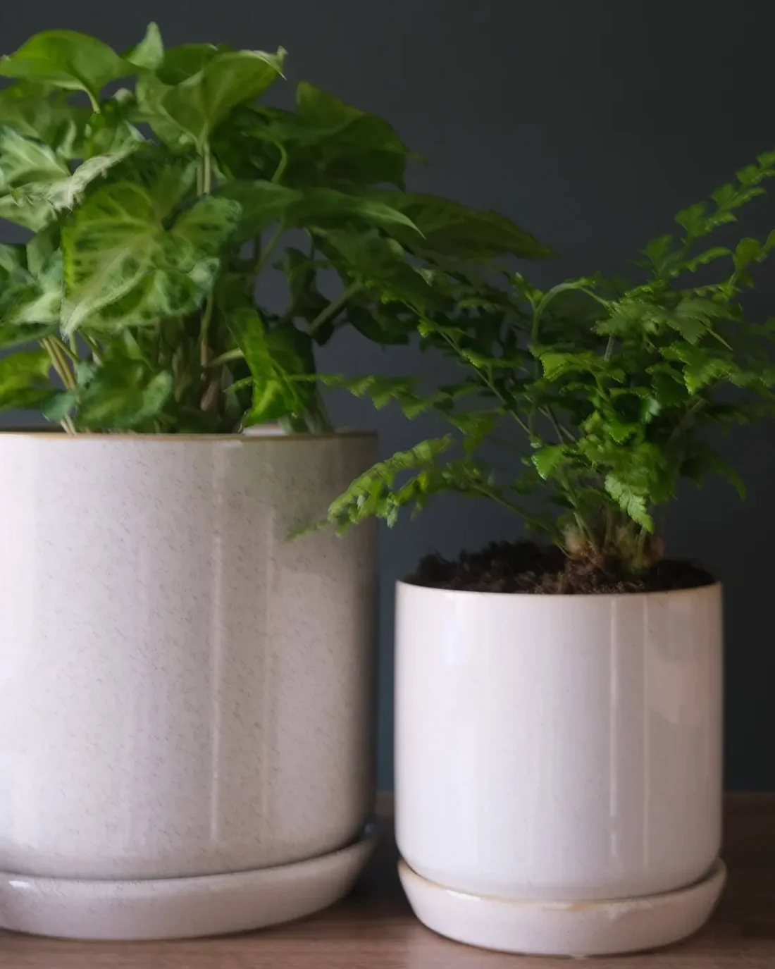 Medium Oslo Planter Sandstorm