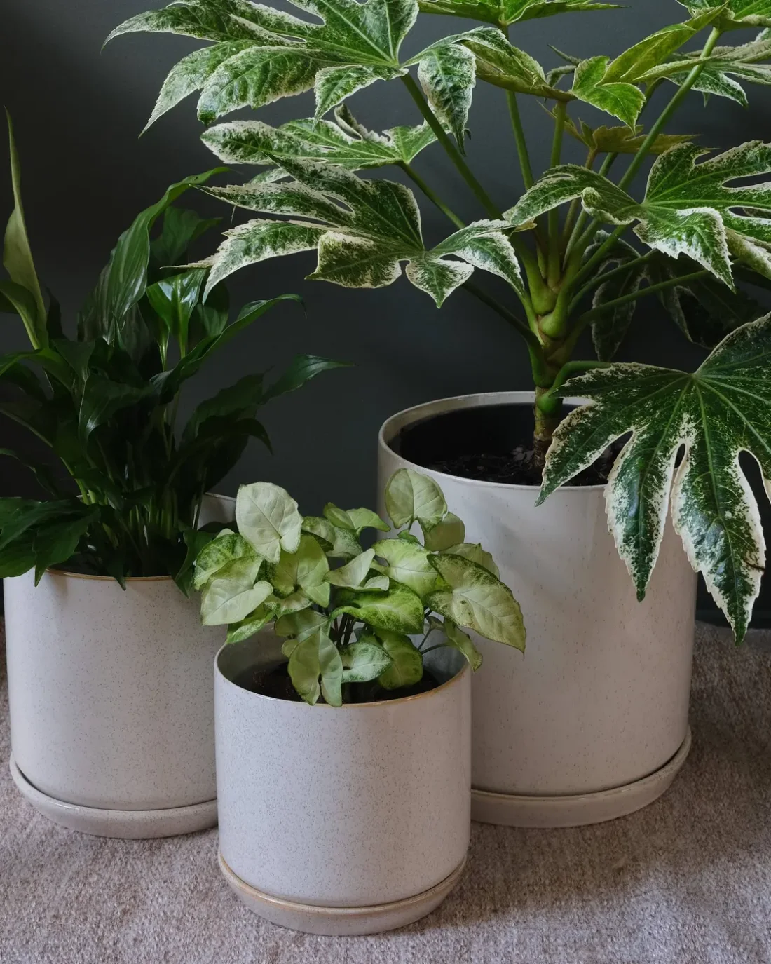 Medium Oslo Planter Sandstorm
