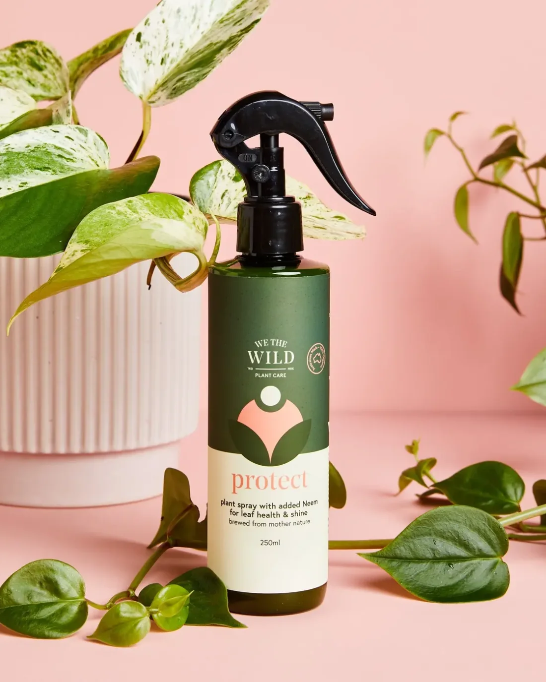 Protect Spray With Neem