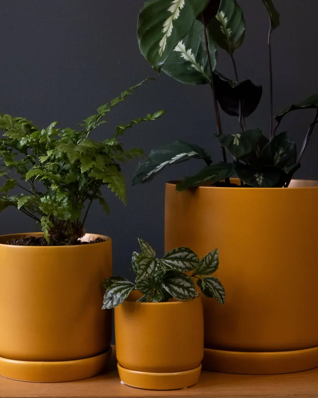 Small Oslo Planter Tobacco