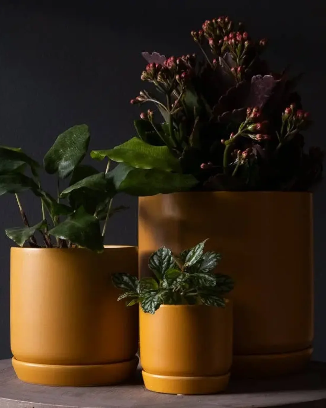 Small Oslo Planter Tobacco