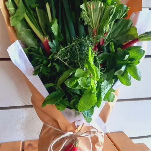 Collection of Culinary Greenery